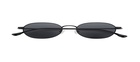 DT5961-Titanium Glasses