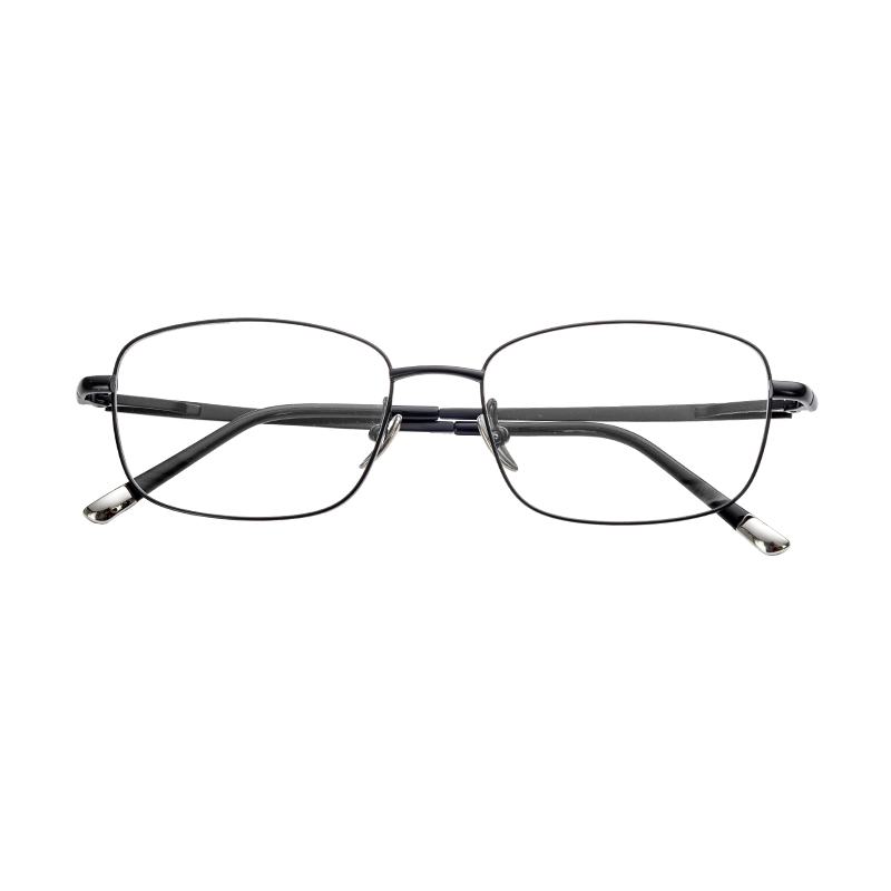 HJ22021-Titanium Glasses