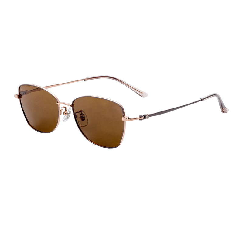Classic Retro Style CE Certified Titanium-Alloy Aviator Sunglasses UV400 Polarized Semi-Titanium Sunglasses