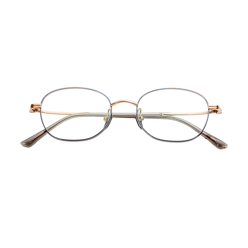 HJ28011-Titanium Glasses