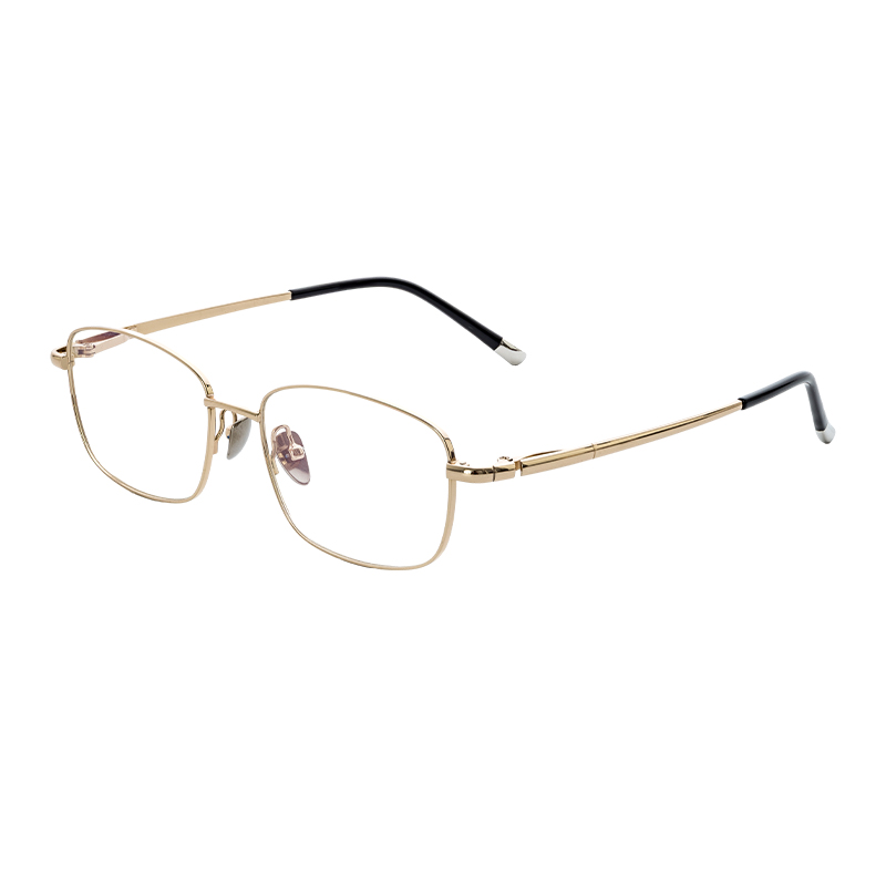 HJ22021-Titanium Glasses