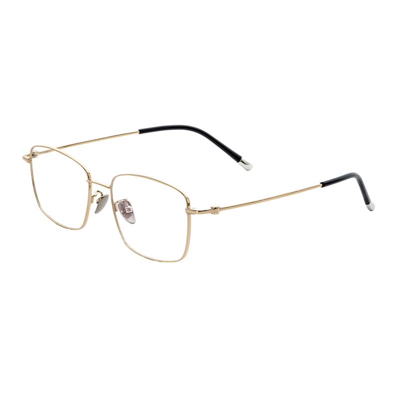 HJ22083-Titanium Glasses