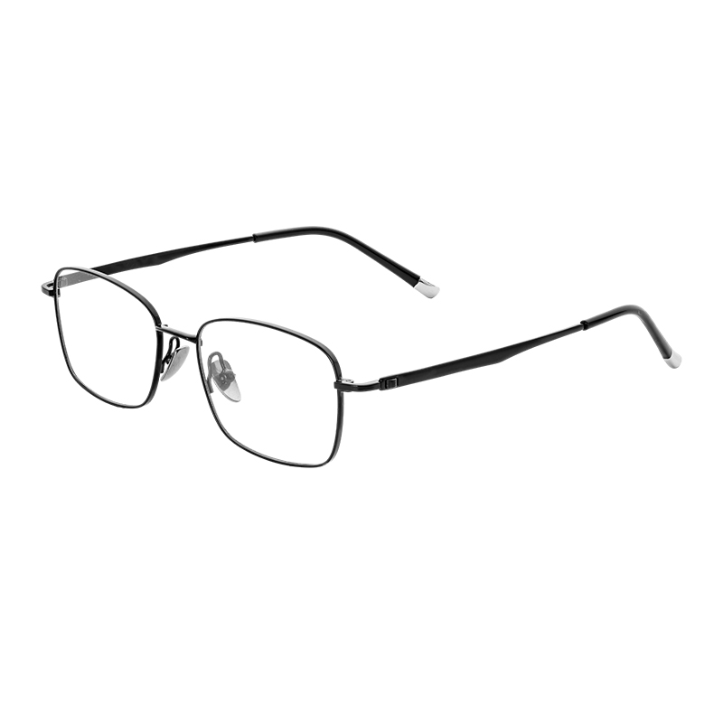 HJ22091-Titanium Glasses