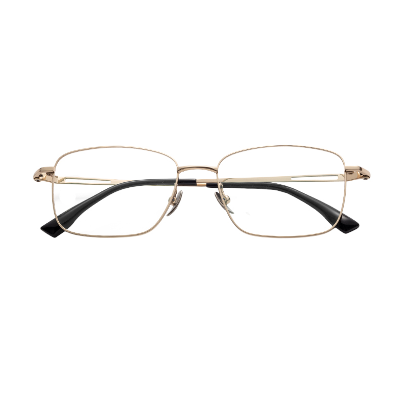 HJ22004-Titanium Glasses