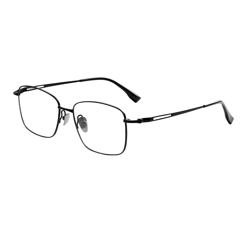 HJ22004-Titanium Glasses
