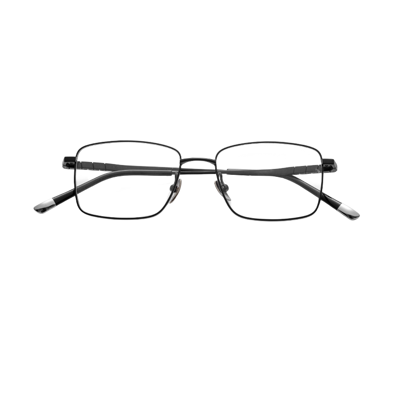 HJ22034-Titanium Glasses